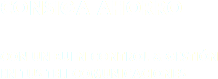 CONSIGA AHORRO CON UN BUEN CONTROL & GESTIÓN EN TUS TELECOMUNICACIONES